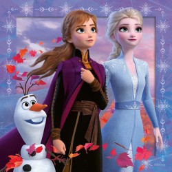 Ravensburger Puzzle: Frozen 2 (3x49pcs)  παζλ 1