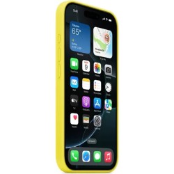 Apple Silicone Case with MagSafe Back Cover για iPhone 16 Pro - Star Fruit