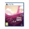 PS5 Hundred Days