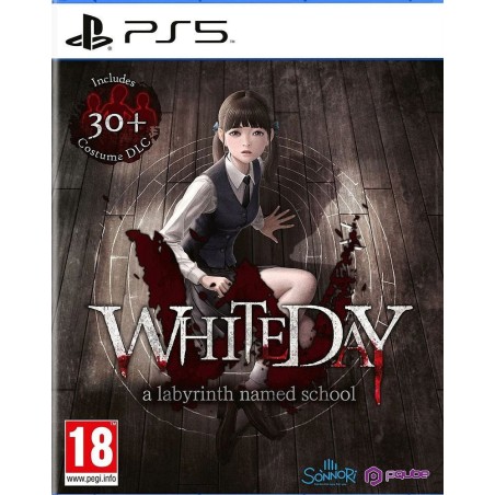PS5 White Day: A Labyrinth...