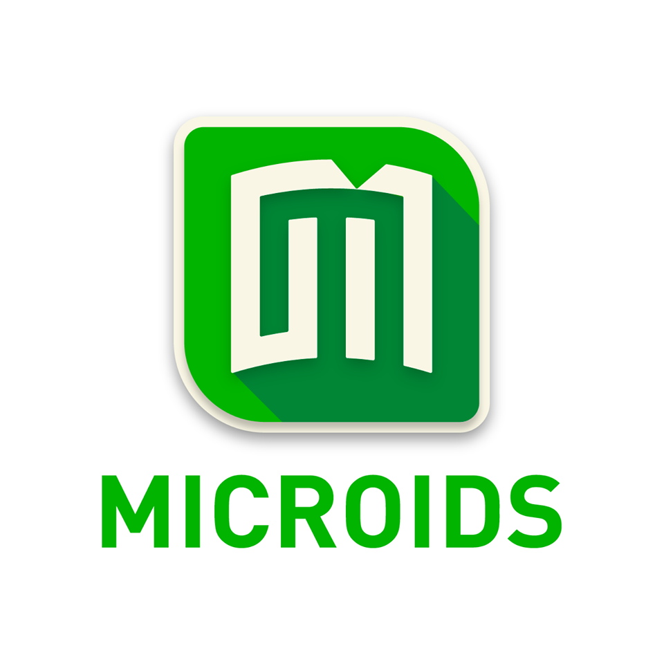 MICROIDS FRANCE